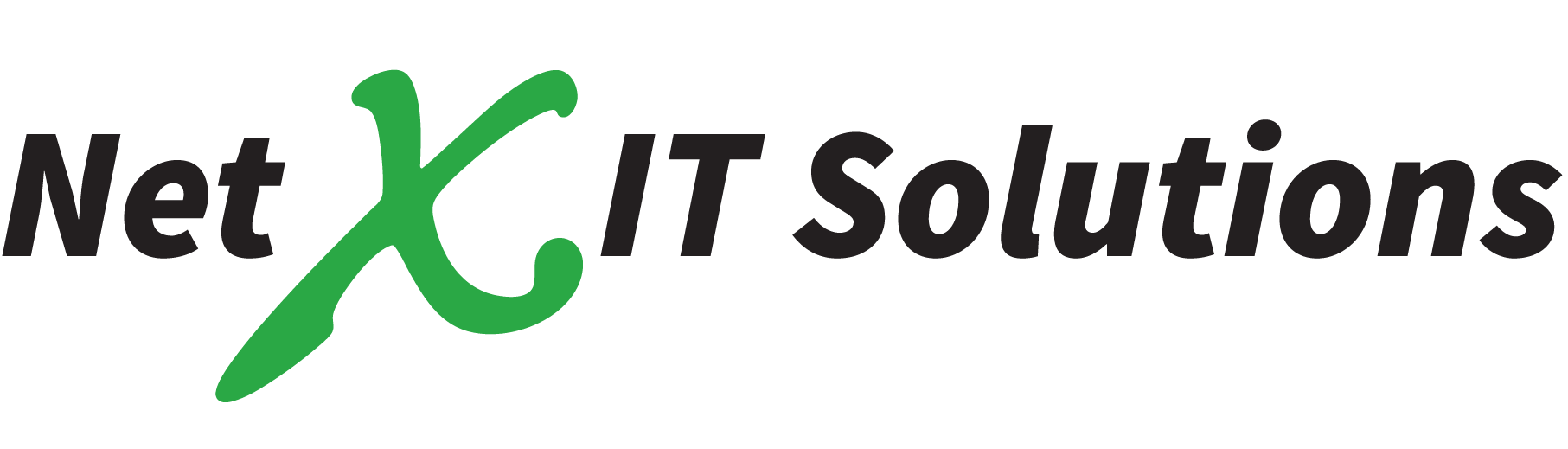Net X IT Solutions logo