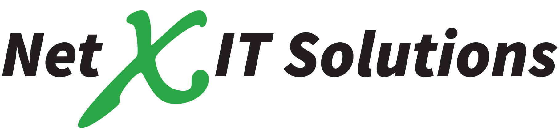 Net X IT Solutions Logo
